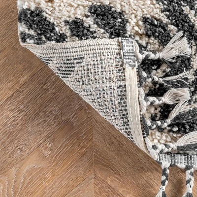 NuLOOM Zuri Shaggy Banded Area Rug - Image 3